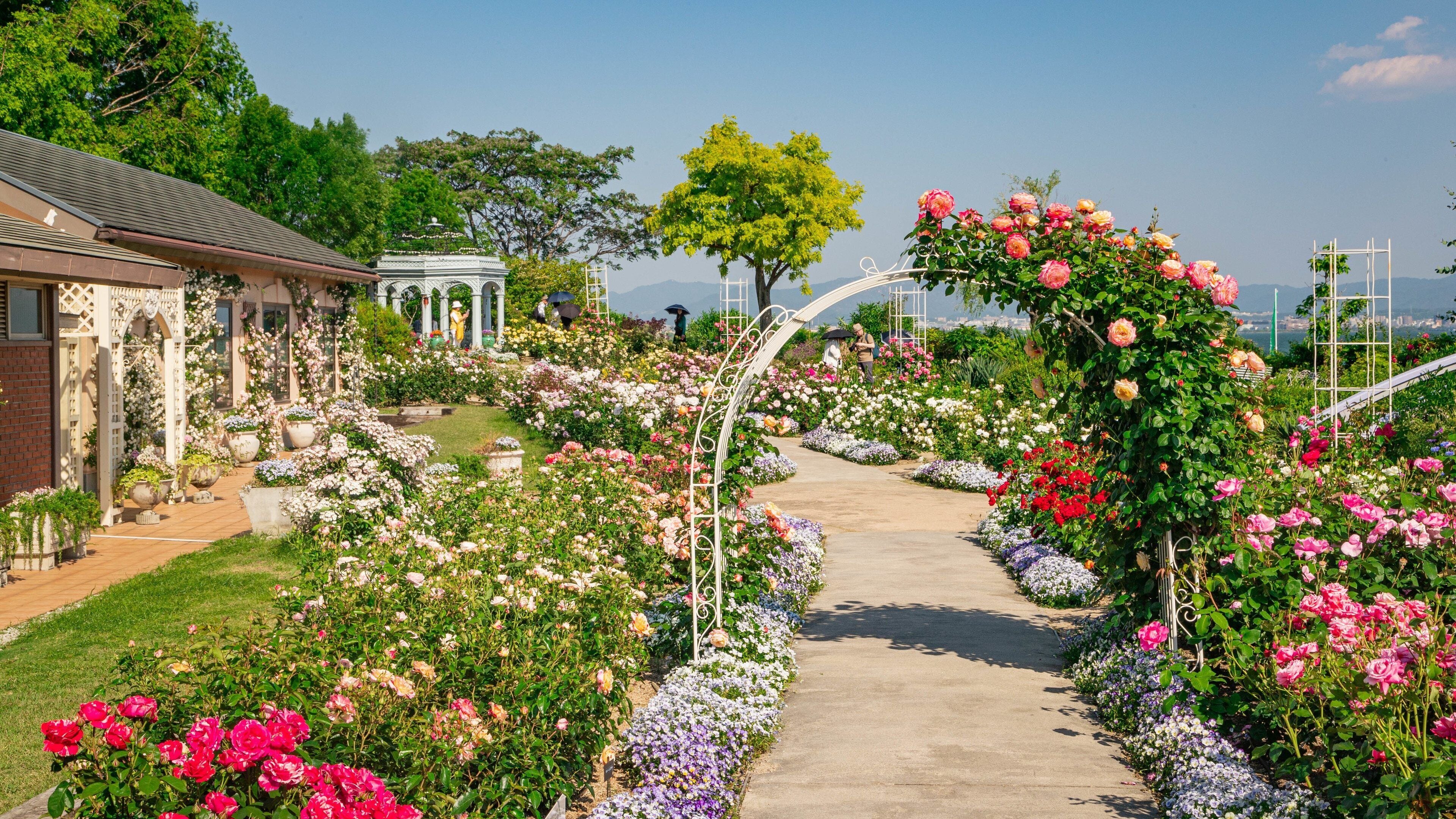 Biwako Otsukan featuring a garden and flowers