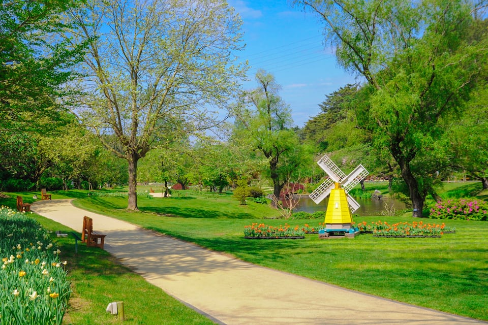 A park with a windmill, green grass, trees, a path, and flowers.