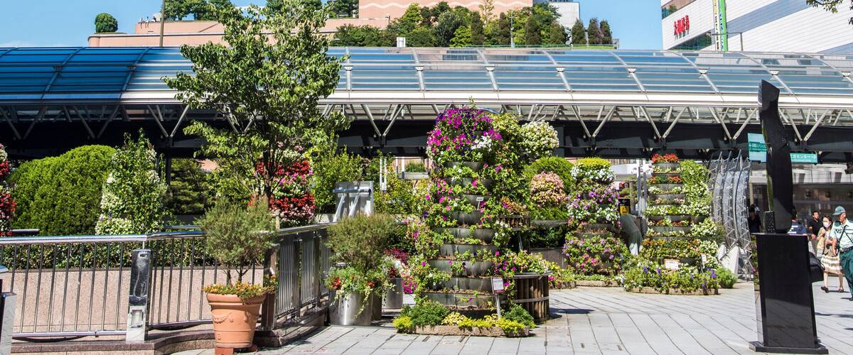 EY9WY4 Hamamatsu Station and ACT Tower,Hamamatsu City,Shizuoka Prefecture,Japan