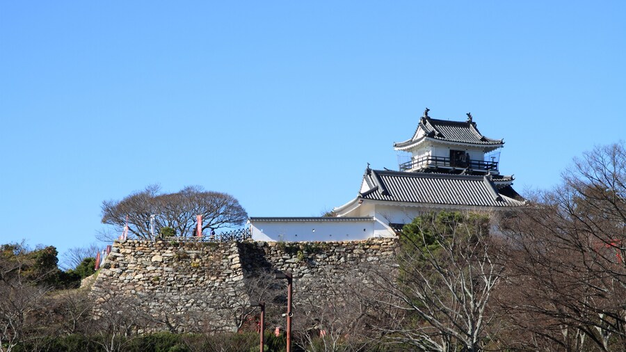 ChĂąteau de Hamamatsu