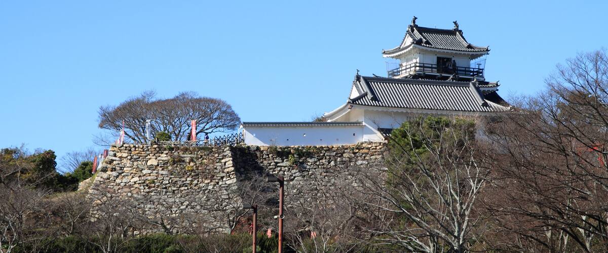 Hamamatsu castle in Hamamatsu, Shizuoka, Japan; Shutterstock ID 594453977; purchase_order: SF 06557000; job: ; client: ; other: