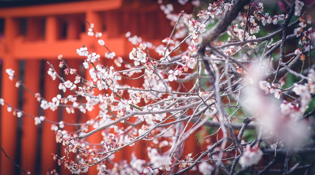 Sanctuaire Kitano Tenman-gū