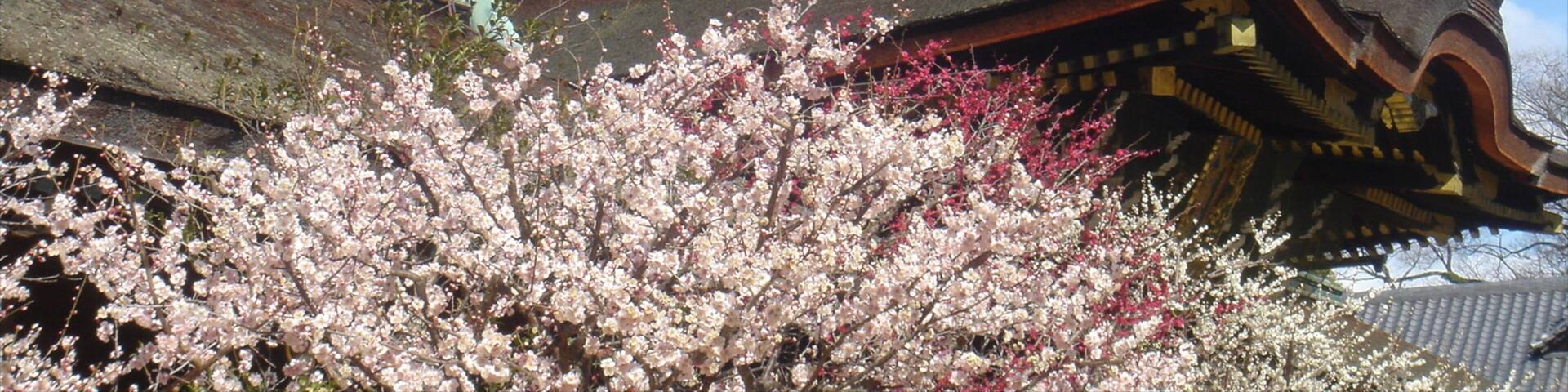 Kyoto welches beinhaltet historische Architektur und Tempel oder Andachtsstätte