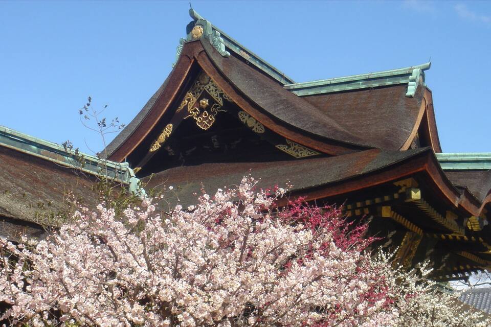 A traditional building with ornate roof details and cherry blossoms in the foreground.