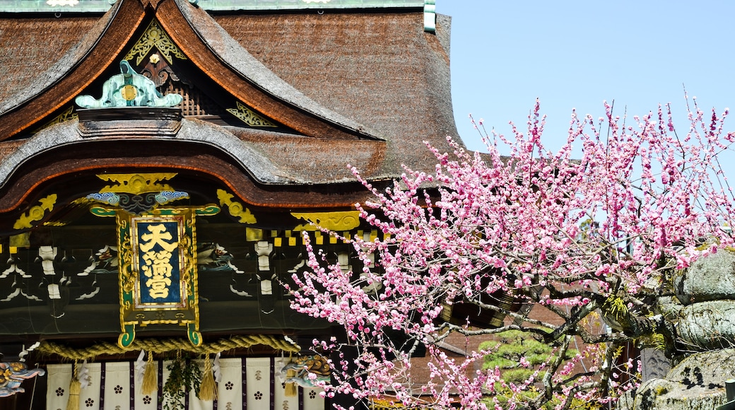 Sanctuaire Kitano Tenman-gū