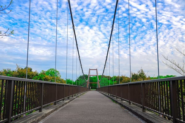 Shizuoka, Japan: Hamamatsu Fruit Park Tokinosumika at late spring 2014; Shutterstock ID 785687881; Purchase Order: -