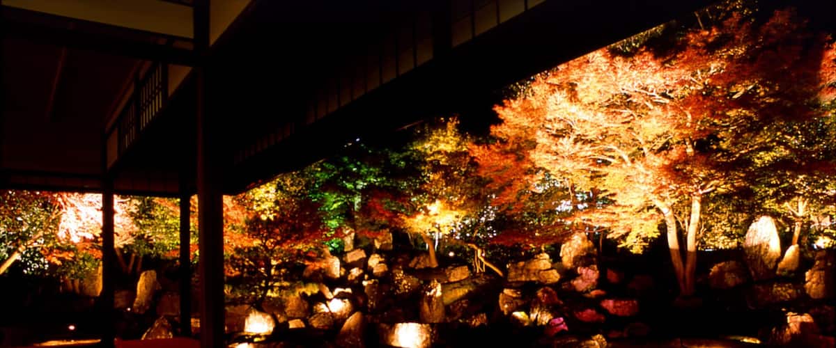 Kyōto featuring night scenes, forests and a temple or place of worship
