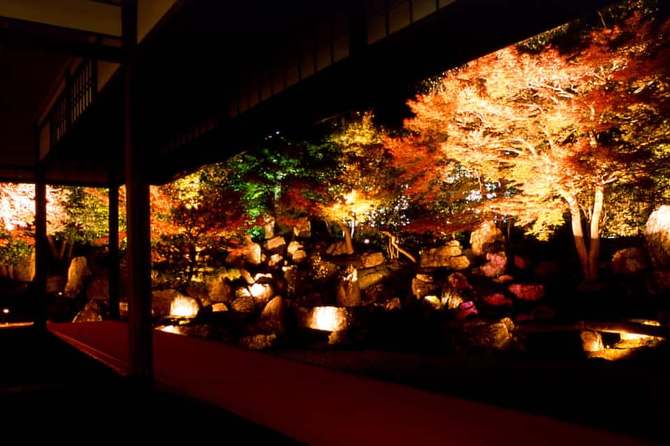 Ein Nachtblick auf einen traditionellen japanischen Garten mit beleuchteten Bäumen und Felsen.
