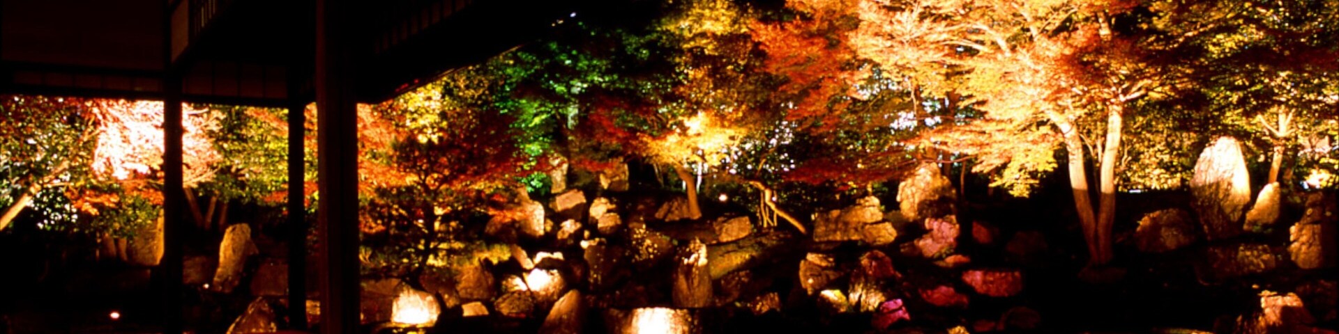 京都 设有 夜景, 森林 和 寺廟或宗教聖地