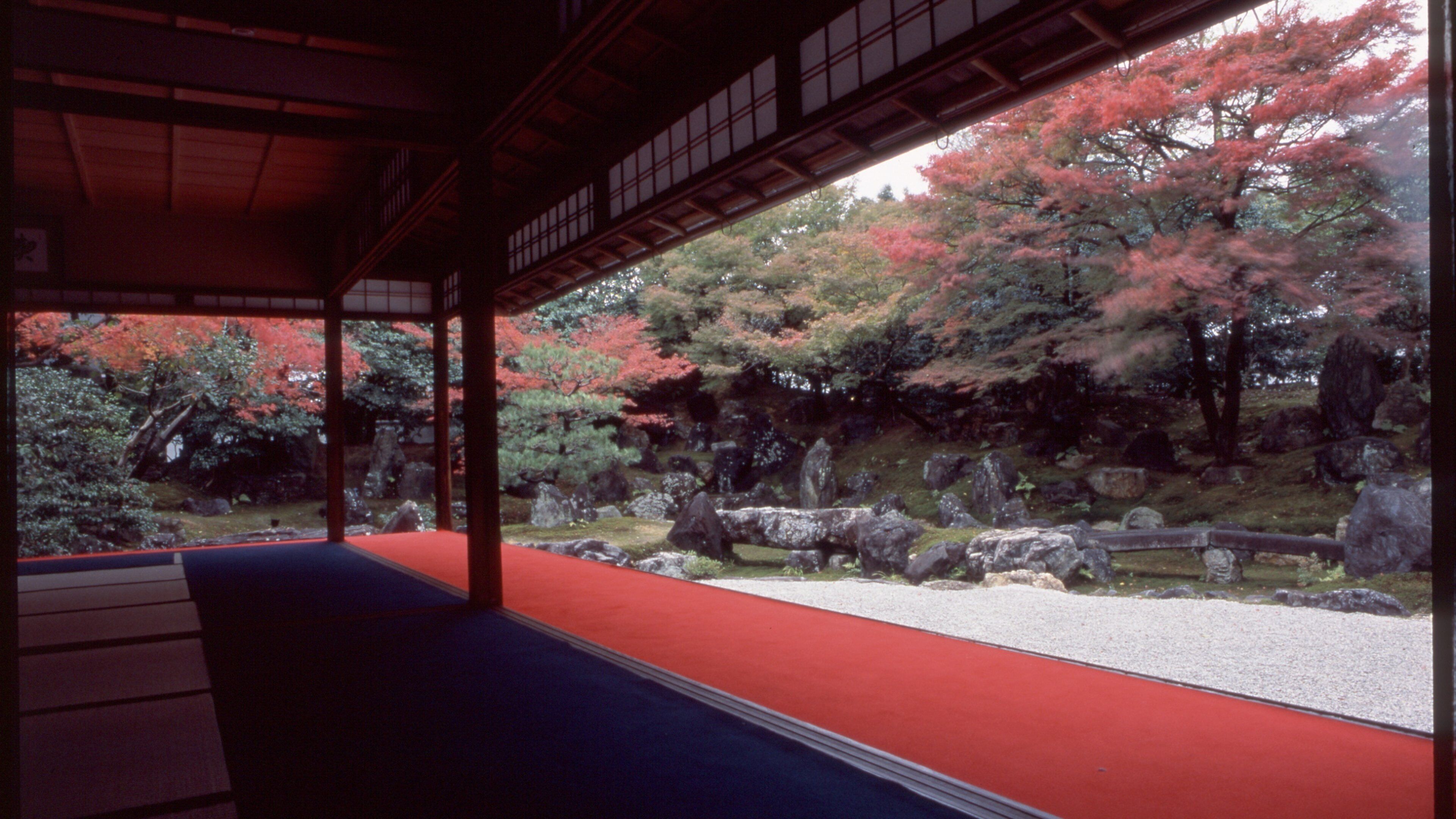 Kyōto showing a temple or place of worship and autumn leaves