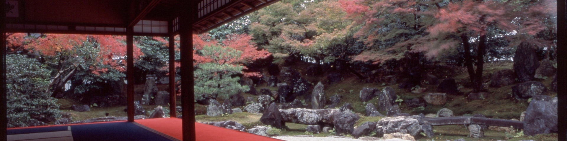 Kyōto showing a temple or place of worship and autumn leaves