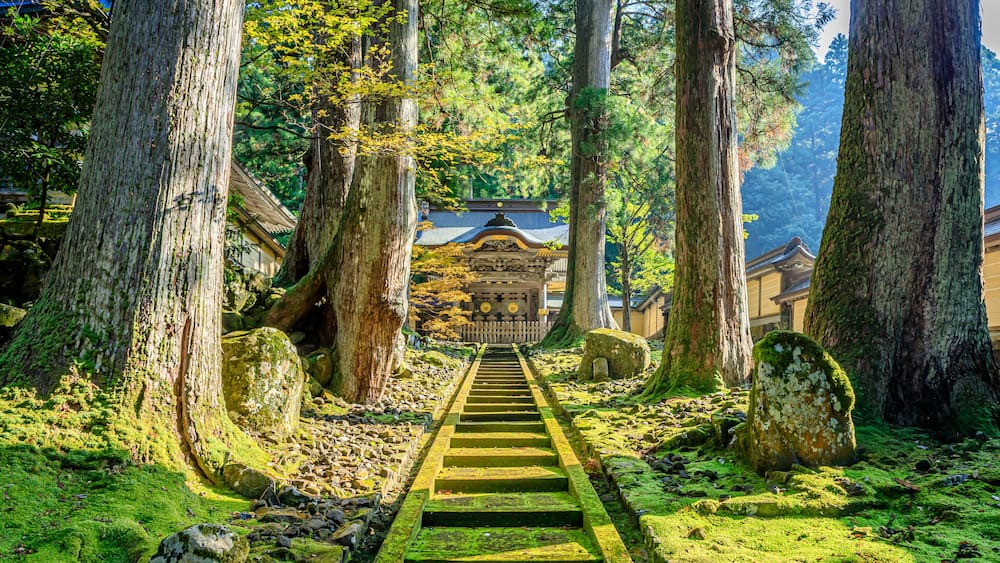 秋の永平寺 福井県吉田郡 Eiheiji Temple in autumn. Fukui Prefecture, Yoshida-gun.
