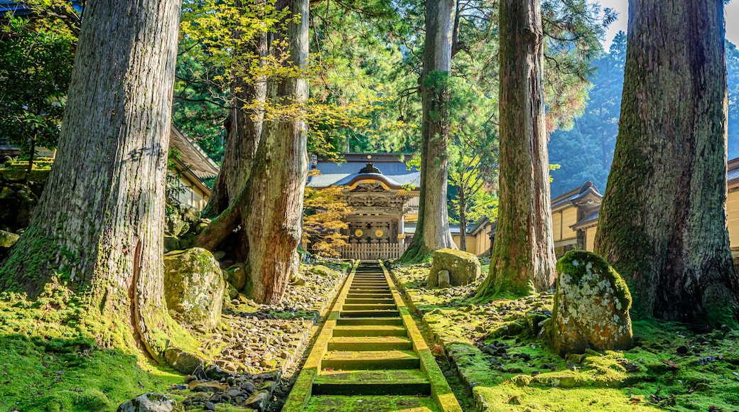 秋の永平寺 福井県吉田郡 Eiheiji Temple in autumn. Fukui Prefecture, Yoshida-gun.