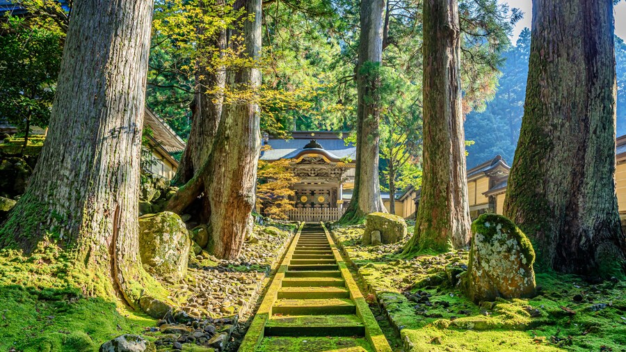 秋の永平寺 福井県吉田郡 Eiheiji Temple in autumn. Fukui Prefecture, Yoshida-gun.