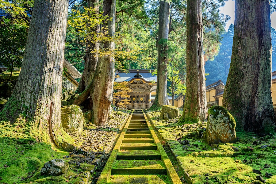 秋の永平寺 福井県吉田郡 Eiheiji Temple in autumn. Fukui Prefecture, Yoshida-gun.