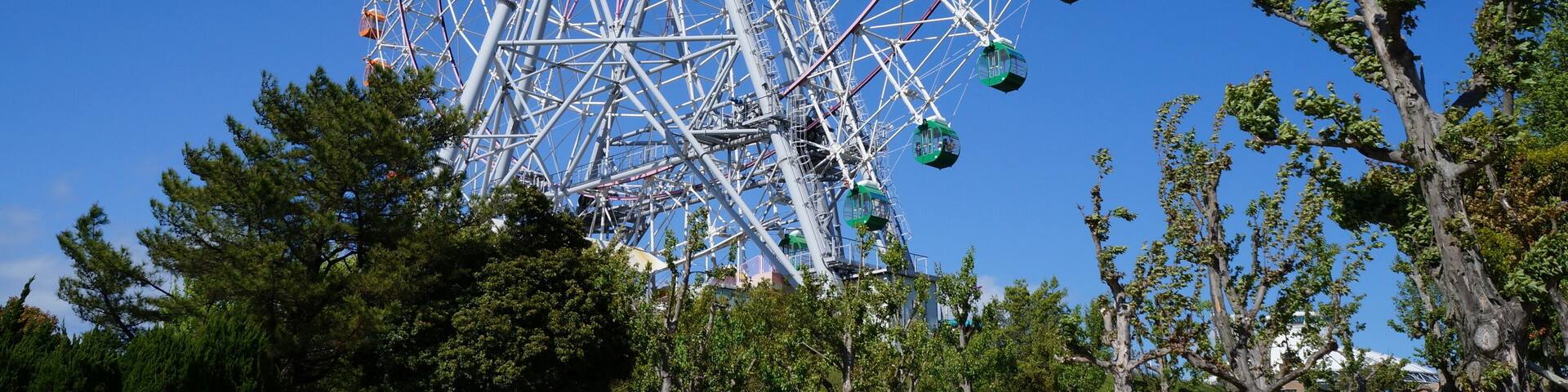 A large Ferris wheel with cabins, surrounded by trees and a clear blue sky.