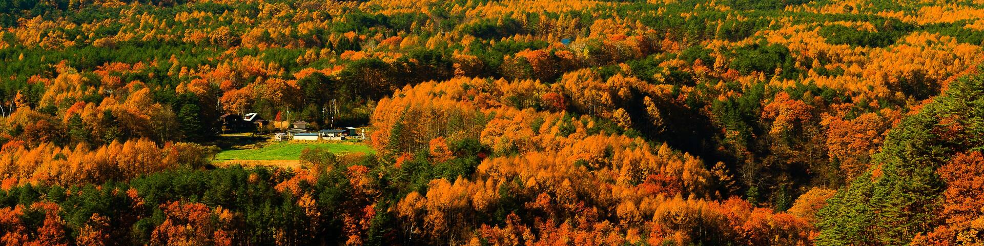 Mount Ontake with autumn leaves, view from Kuzotoge, Nagano Prefecture, Japan; Shutterstock ID 750187525; purchase_order: SF 06557000; job: ; client: ; other: