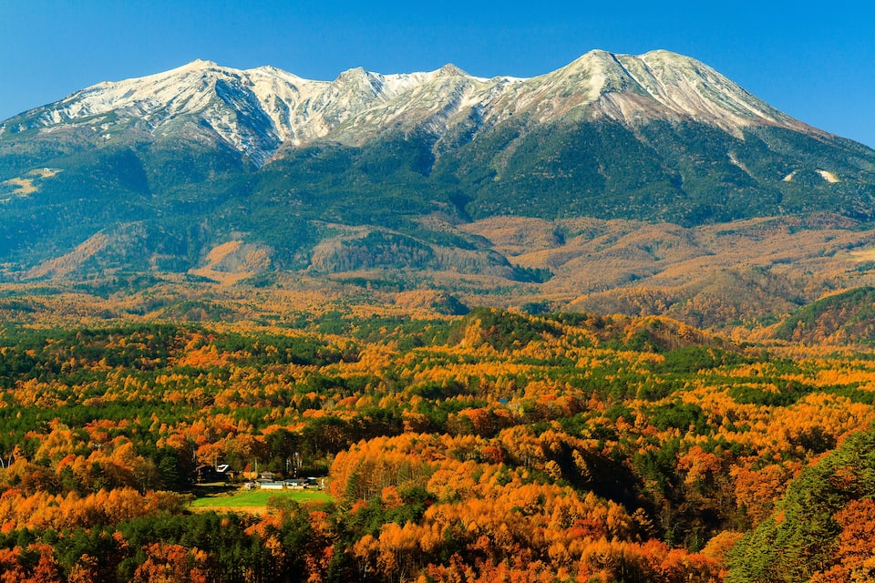 Une montagne dont le sommet est coiffé de neige, entourée d’une forêt aux couleurs automnales.