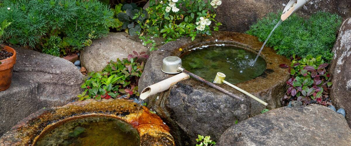 A traditional Japanese garden with a stone pond, moss-covered rocks, and various plants.