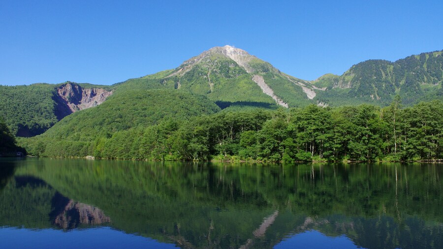 Taisho Pond