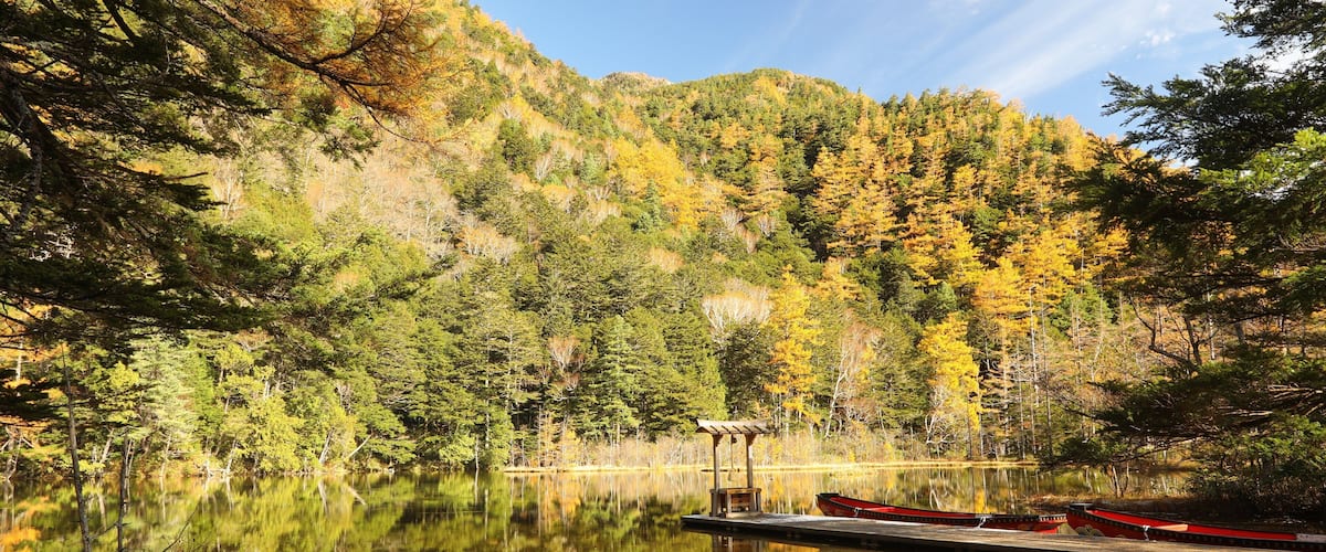 Myojin Pond featuring a pond and wetlands