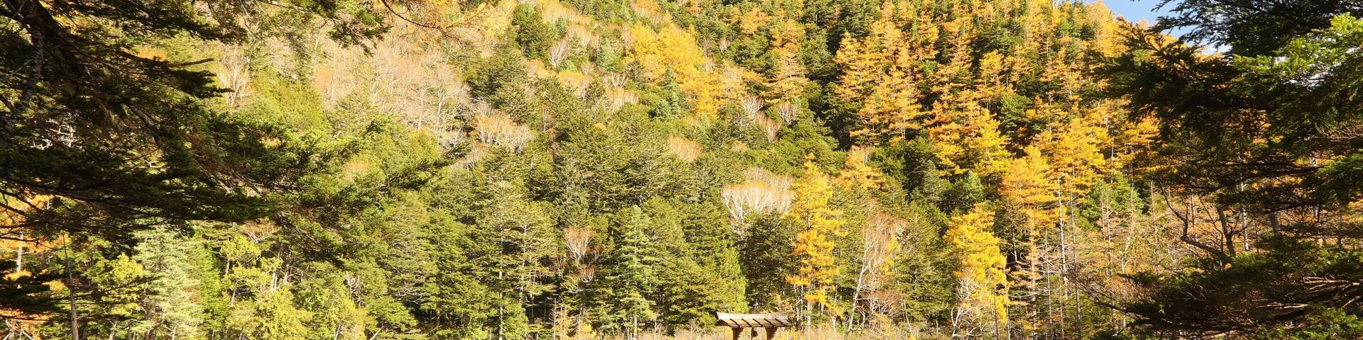 Myojin Pond featuring a pond and wetlands