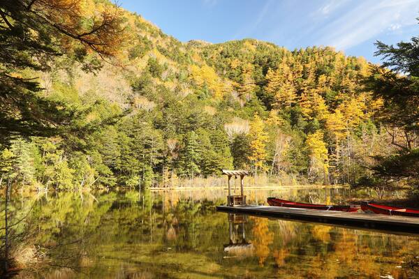 Myojin Pond featuring a pond and wetlands