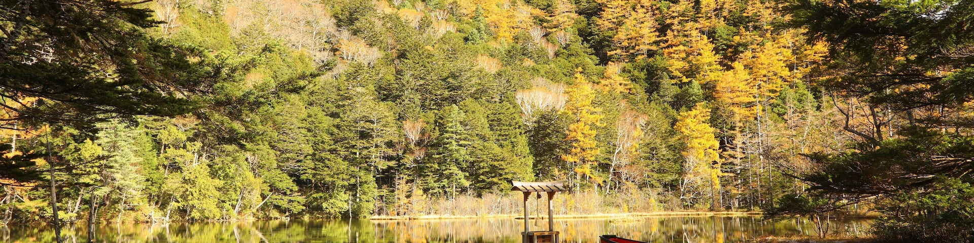 Myojin Pond featuring a pond and wetlands