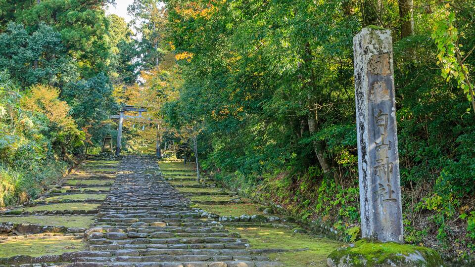 A stone pathway leading through a forested area with a moss-covered stone marker.