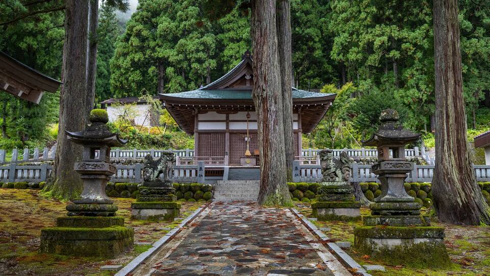 A traditional Japanese temple with a stone pathway leading to it, surrounded by tall trees and moss-covered stone lanterns.