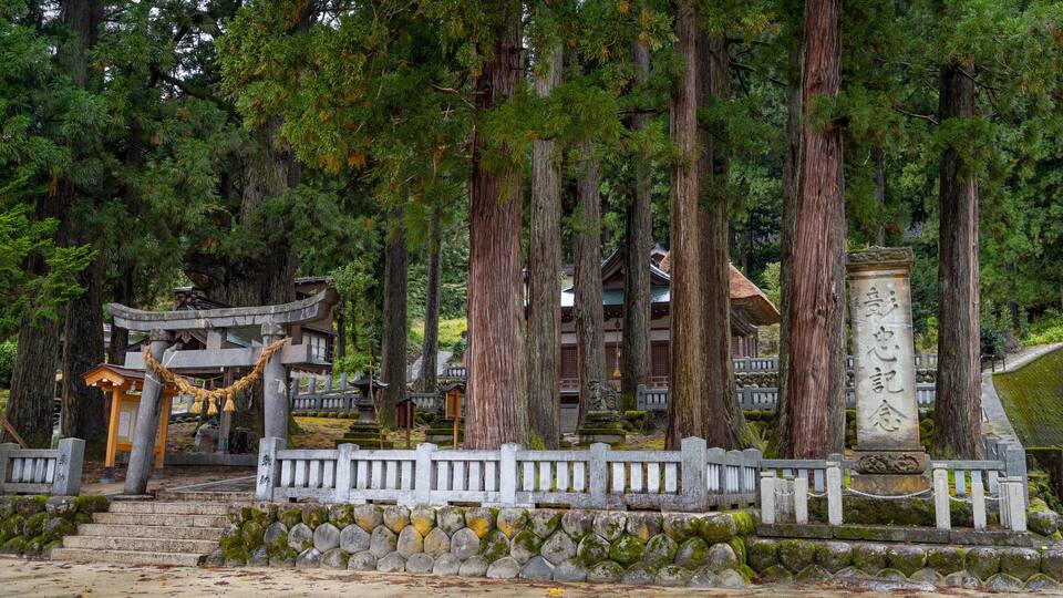 A traditional Japanese temple surrounded by tall trees.