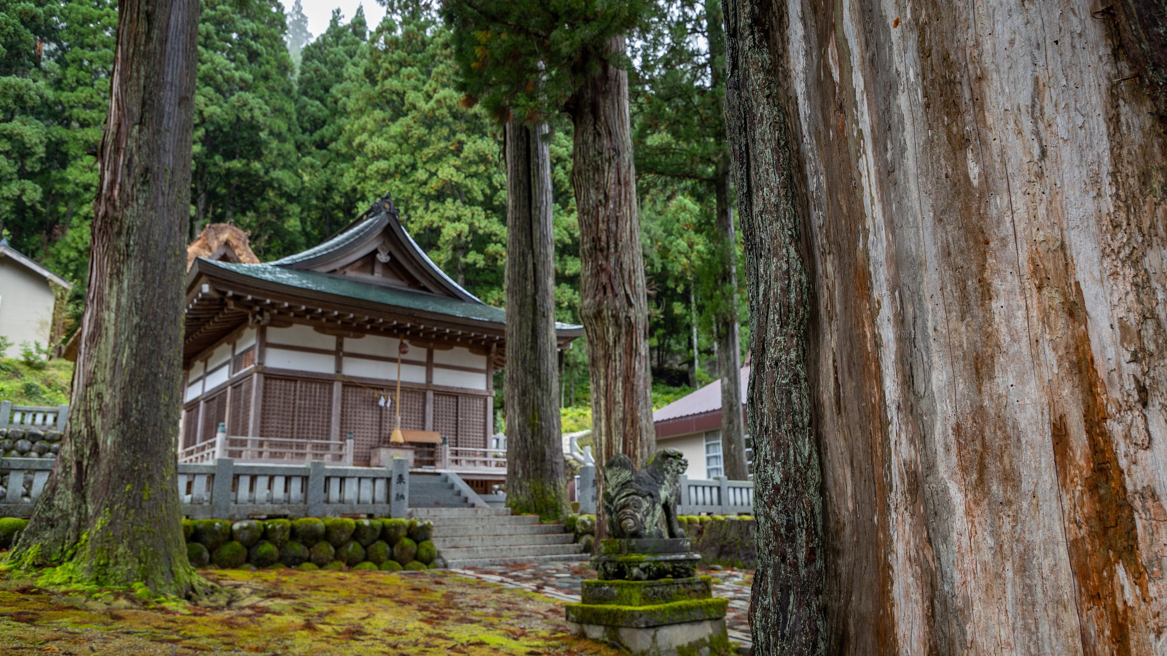 Hakusan Shrine featuring heritage elements and a temple or place of worship