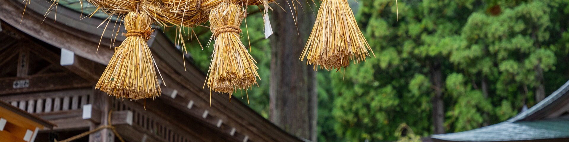 Hakusan Shrine which includes heritage elements