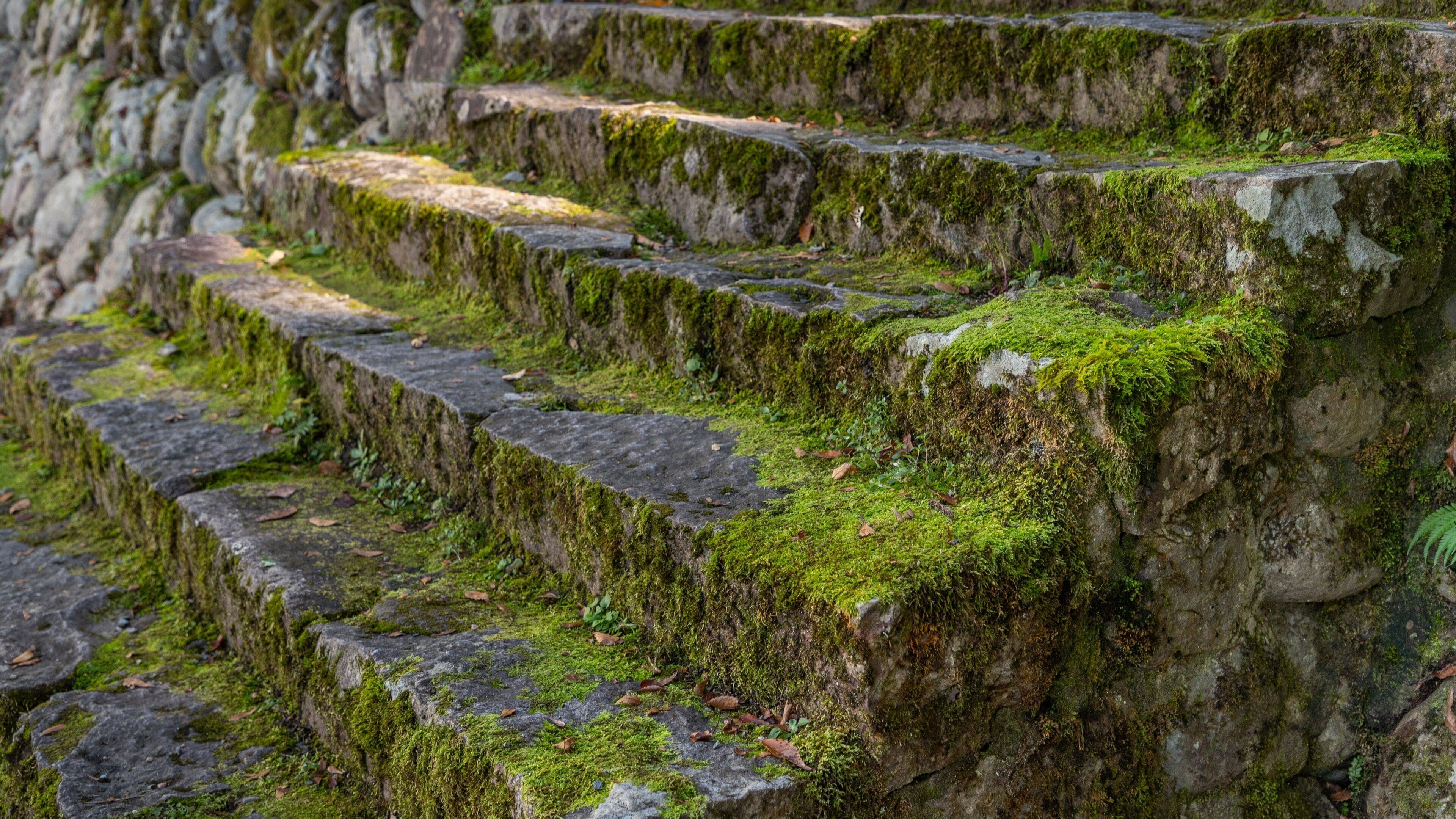 Shirakawa Hachiman Shrine Festival Hall