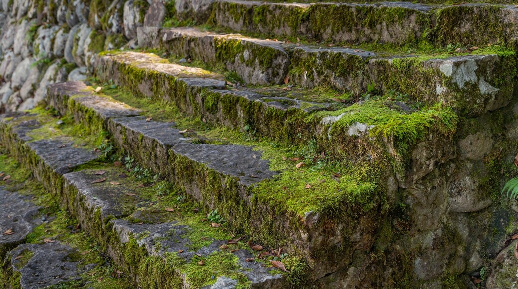 Shirakawa Hachiman Shrine Festival Hall