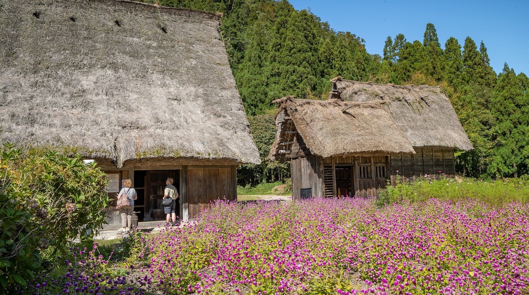 Shirakawago Gasshozukuri Homurajin Museum