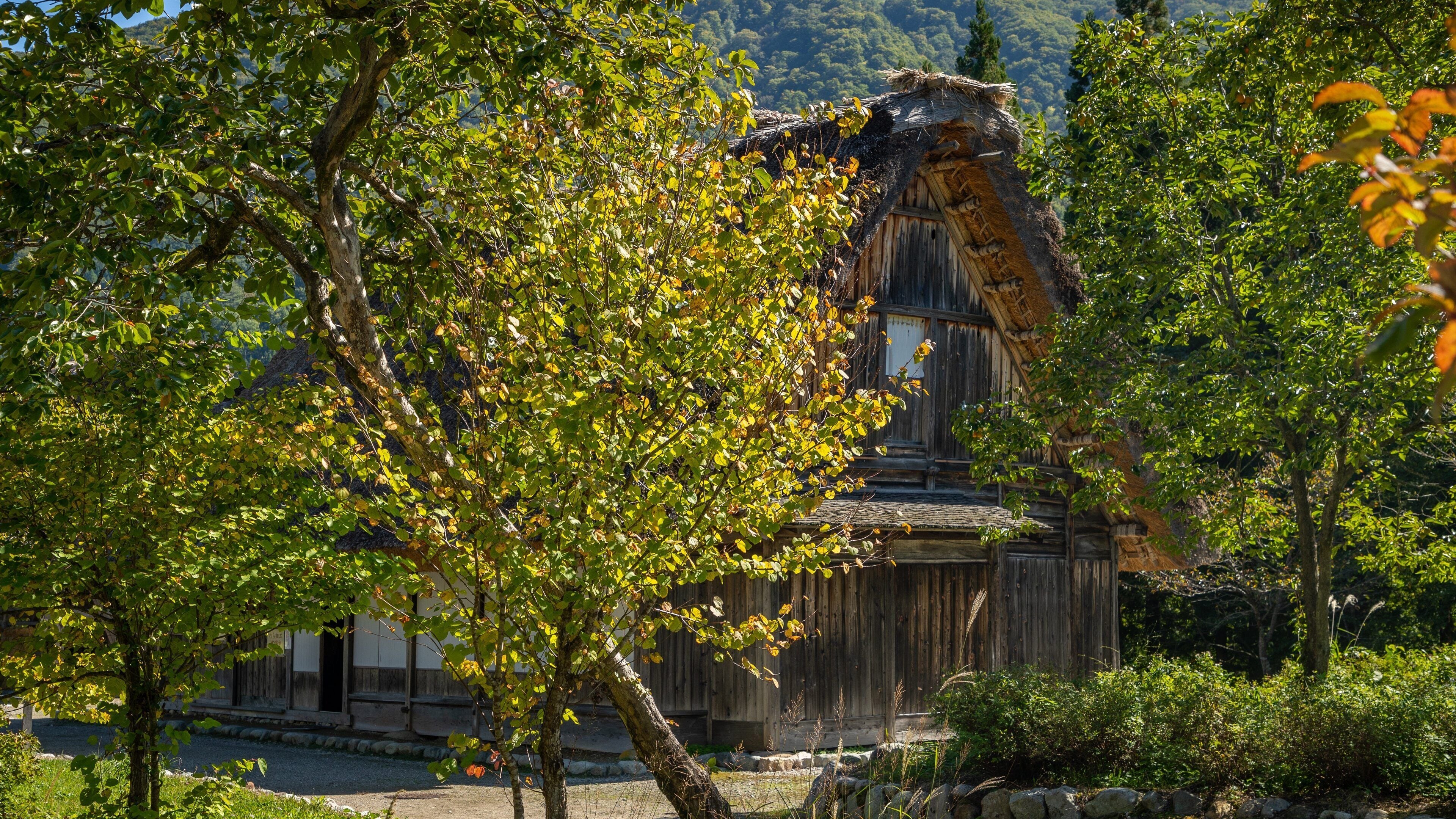 Shirakawago Gasshozukuri Homurajin Museum