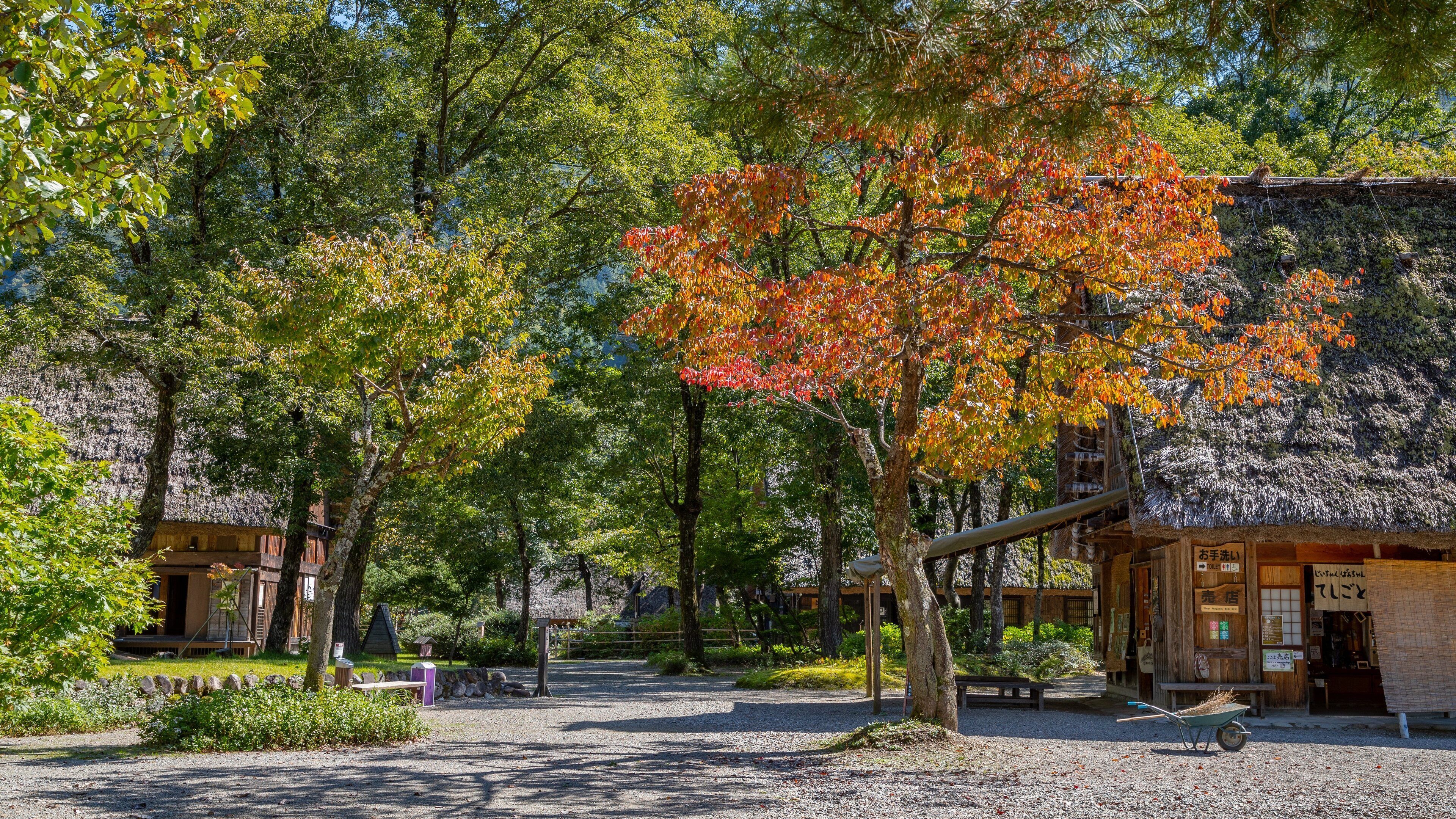 Shirakawago Gasshozukuri Homurajin Museum