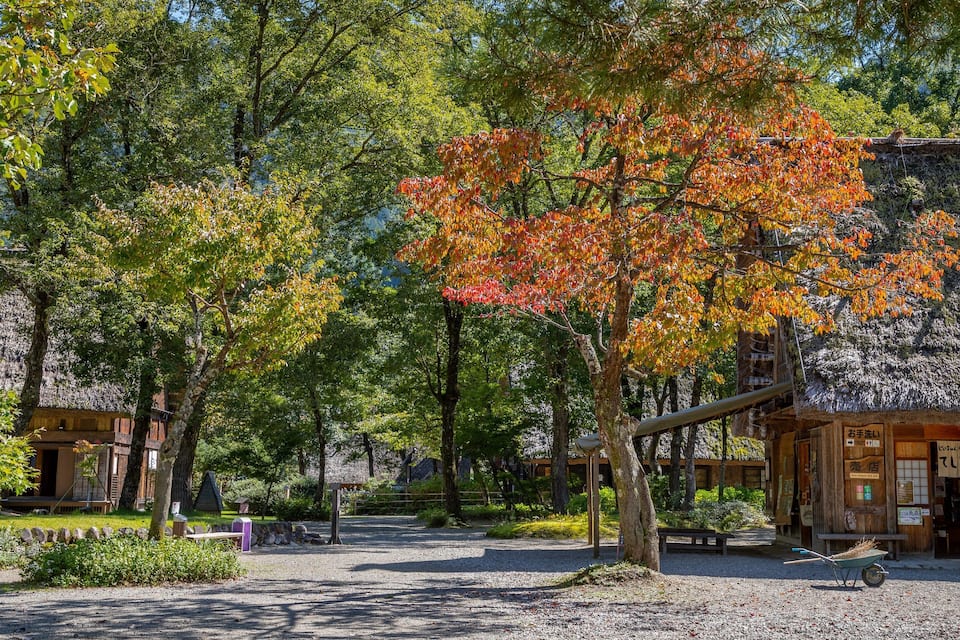 Een traditioneel Japans dorpje met houten huizen, een grindpad en herfstkleurige bomen.