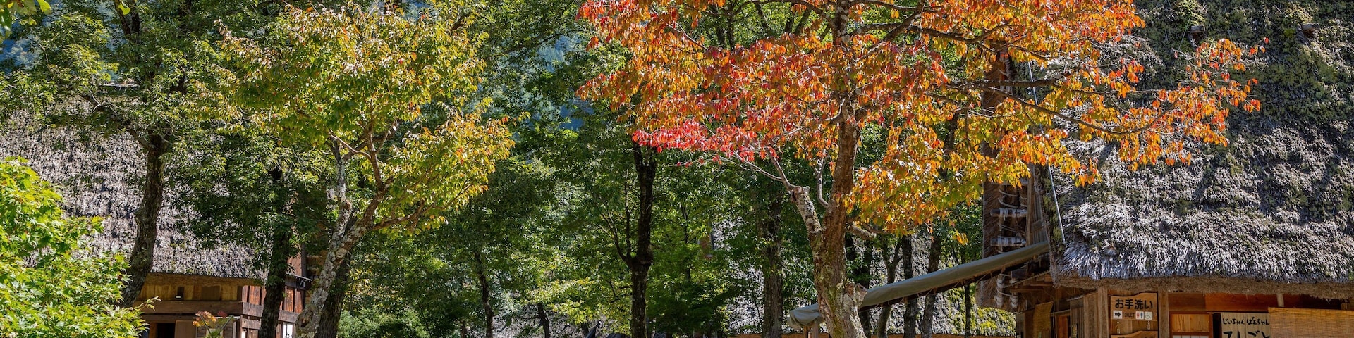 Shirakawago Gasshozukuri Homurajin Museum