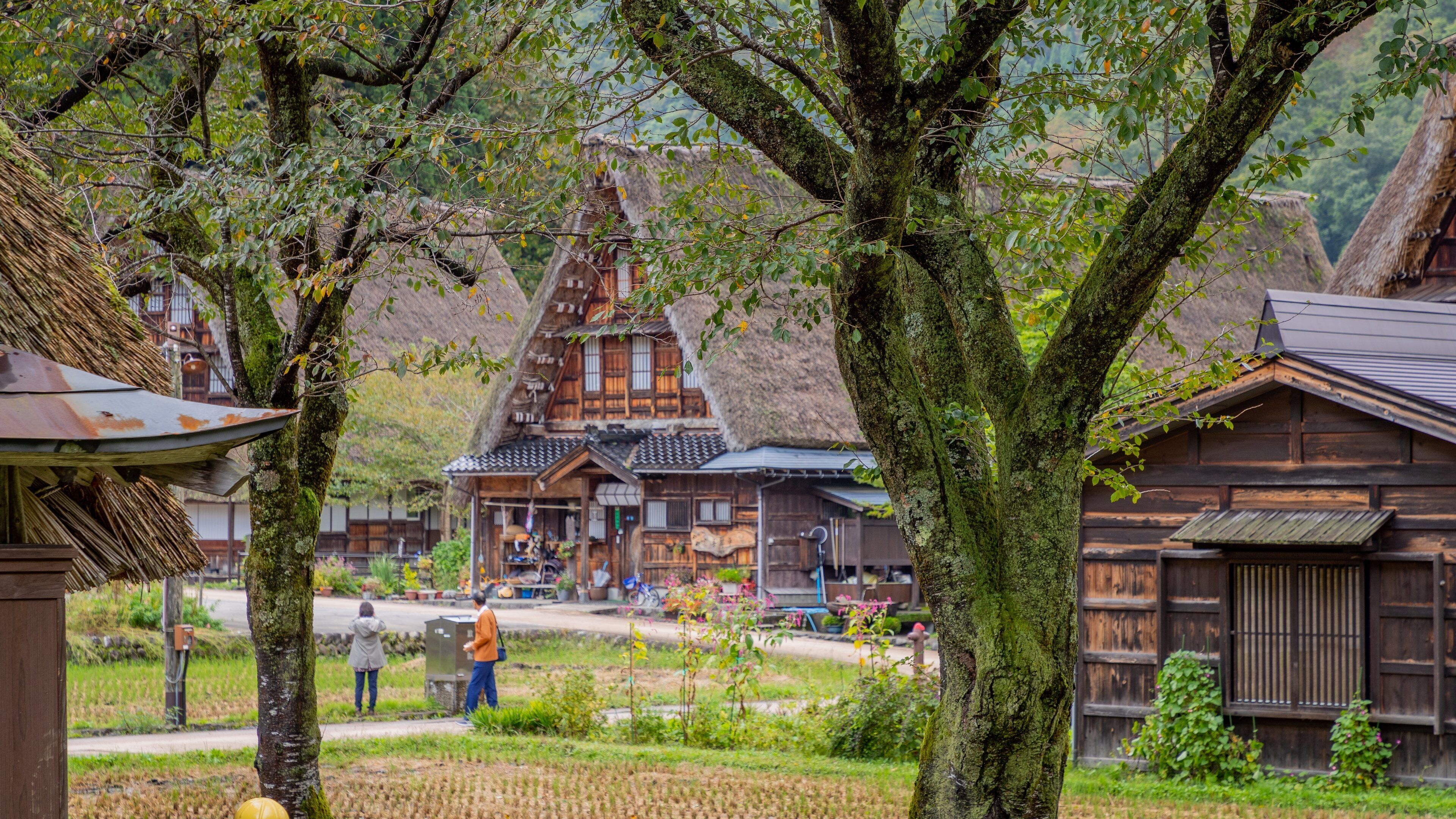 Suganuma Gassho-zukuri Village