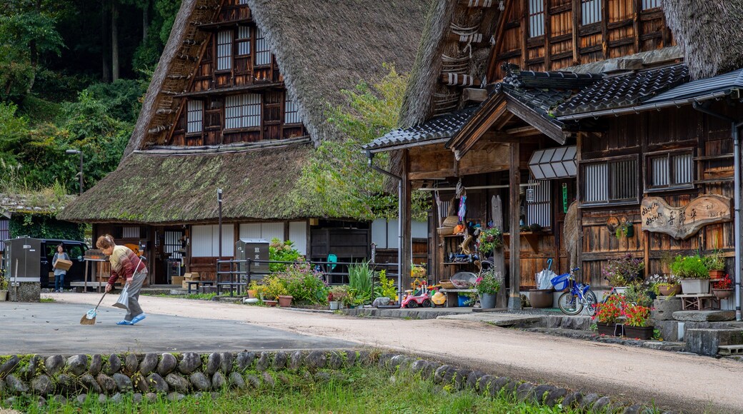 Nanto which includes a small town or village and street scenes as well as an individual femail