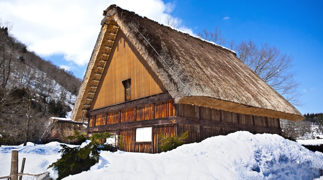 Ainokura Gassho-zukuri Village