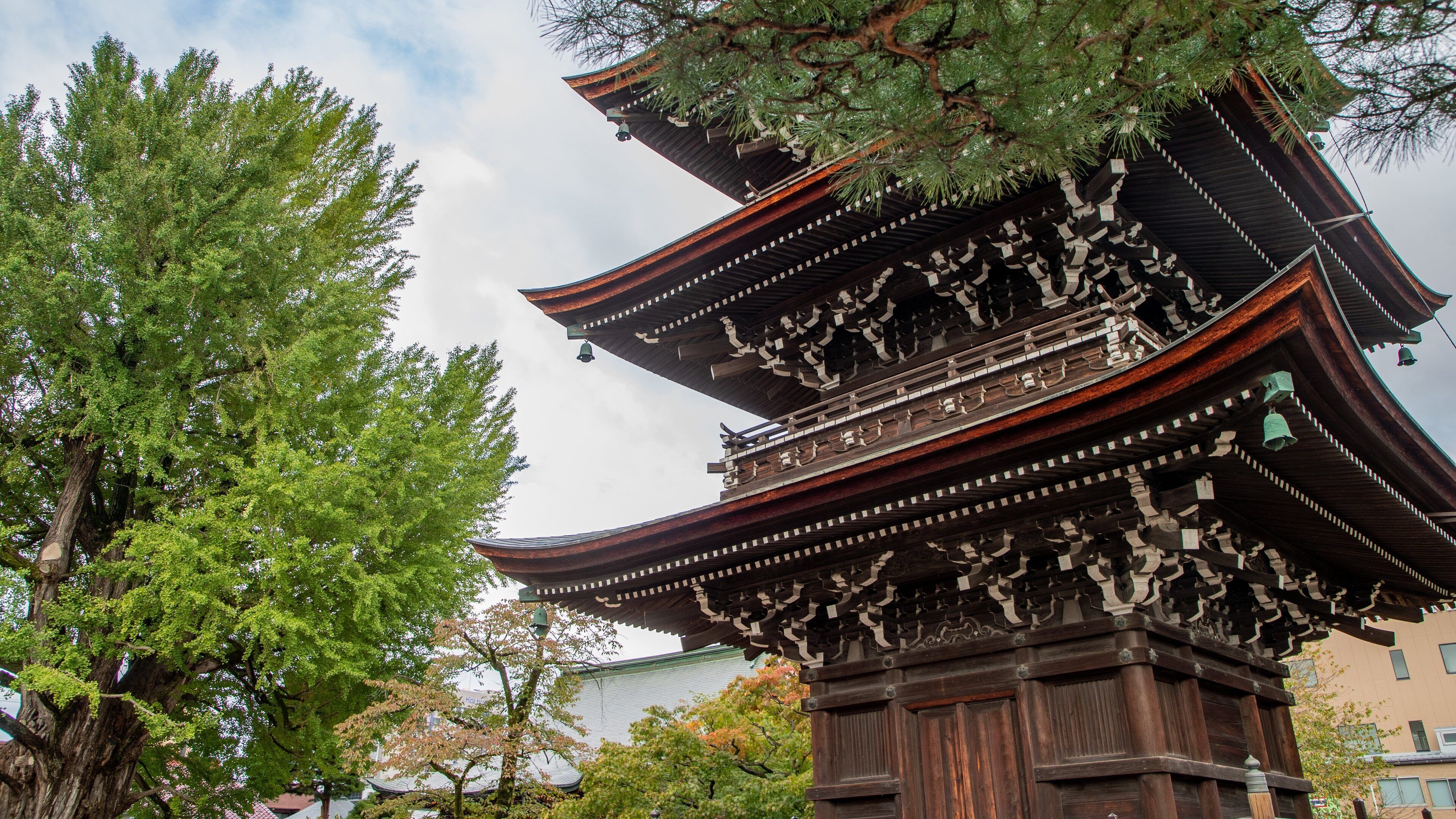 Hida Kokubunji Temple which includes a temple or place of worship and heritage architecture