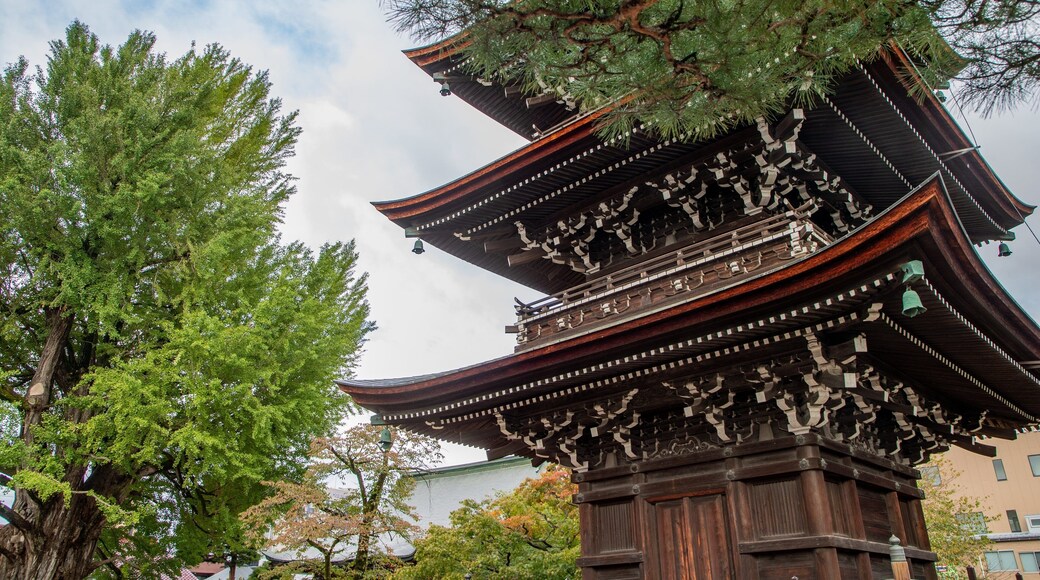 Hida Kokubunji Temple which includes a temple or place of worship and heritage architecture
