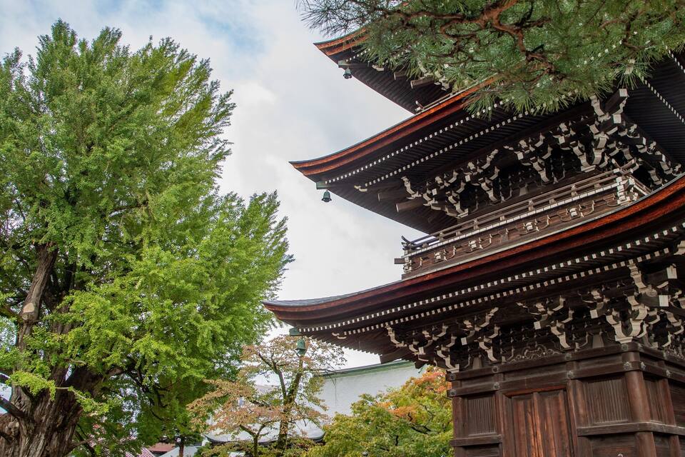 A traditional Japanese pagoda with multiple tiers, surrounded by lush green trees.
