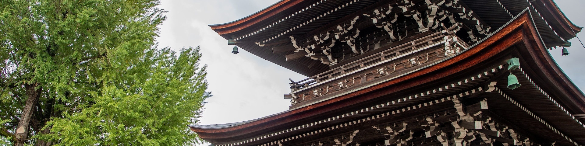 Hida Kokubunji Temple which includes a temple or place of worship and heritage architecture