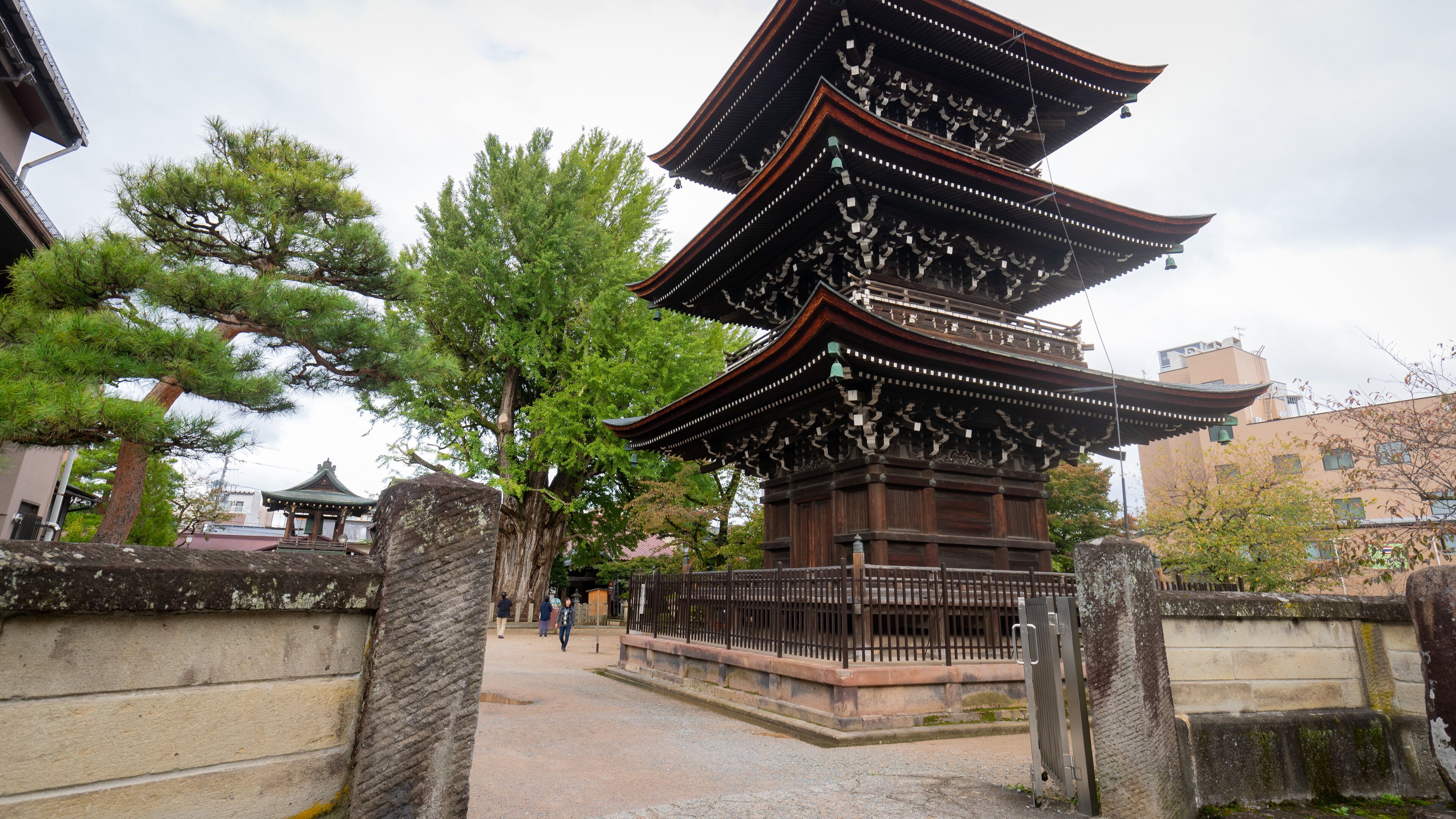 Hida Kokubunji Temple showing a temple or place of worship and heritage architecture