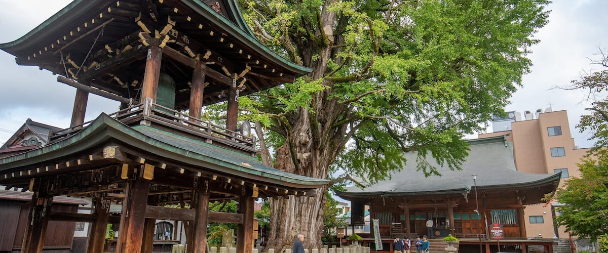 Hida Kokubunji Temple which includes heritage elements