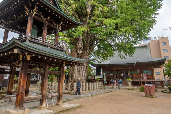 Hida Kokubunji Temple which includes heritage elements